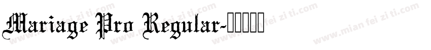Mariage Pro Regular字体转换